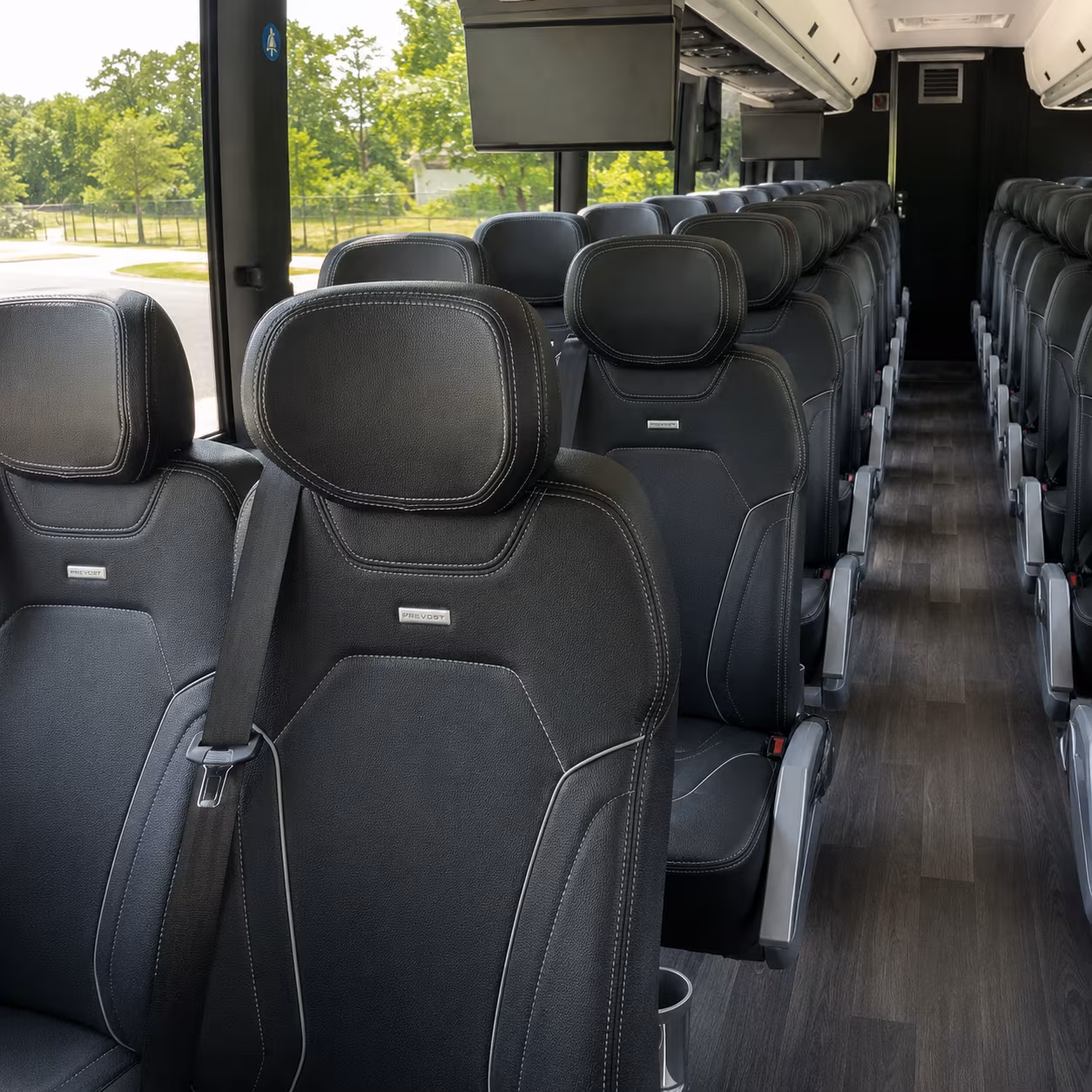 get the whole bridal party to falls park and back in style